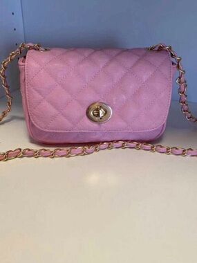 NWOT Aldo Quilted Crossbody Bag in Pink with Gold Hardware